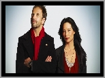 Elementary, Lucy Liu, Serial, Jonny Lee Miller